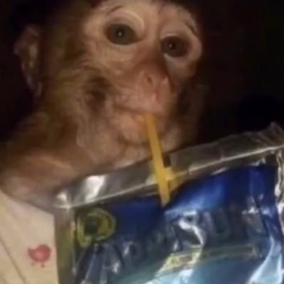 Meet your Posher, Erika - Picture 1 of 1